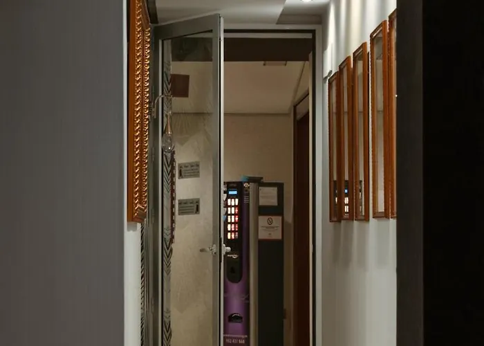 酒店 阿诺斯50酒店 托雷莫利诺斯